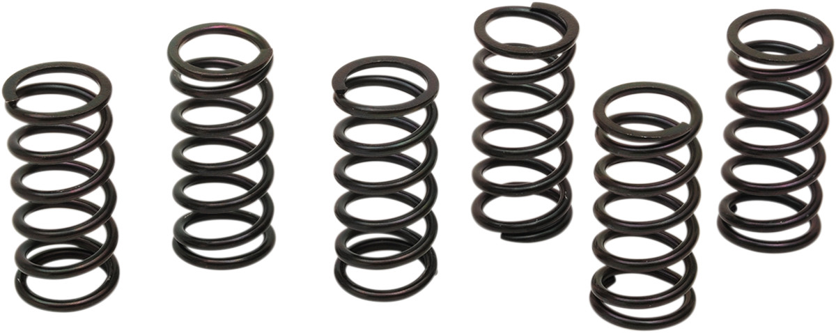 BARNETT Clutch Spring Kit