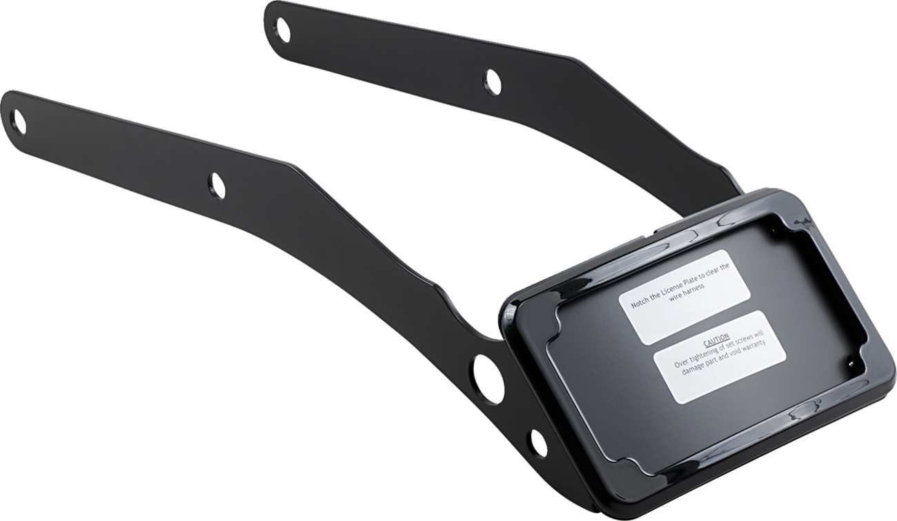 CYCLE VISIONS Curved License Mount with Frame