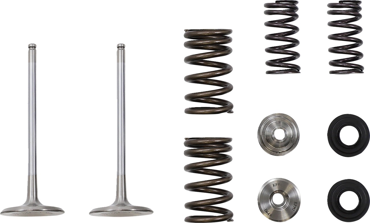 Moose Racing Intake Valve and Spring Kit