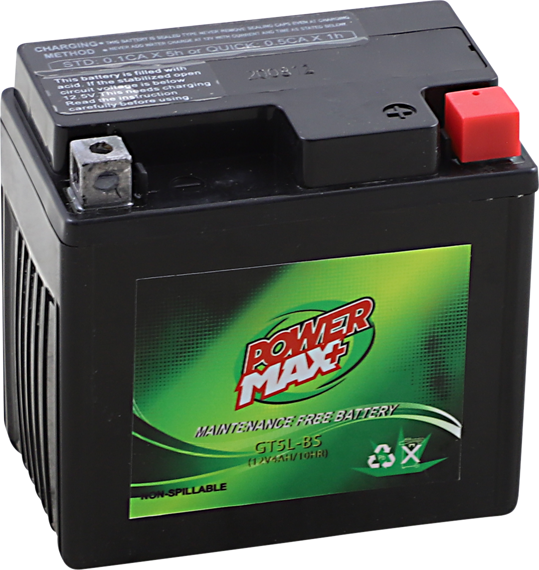 Maintenance-Free Battery