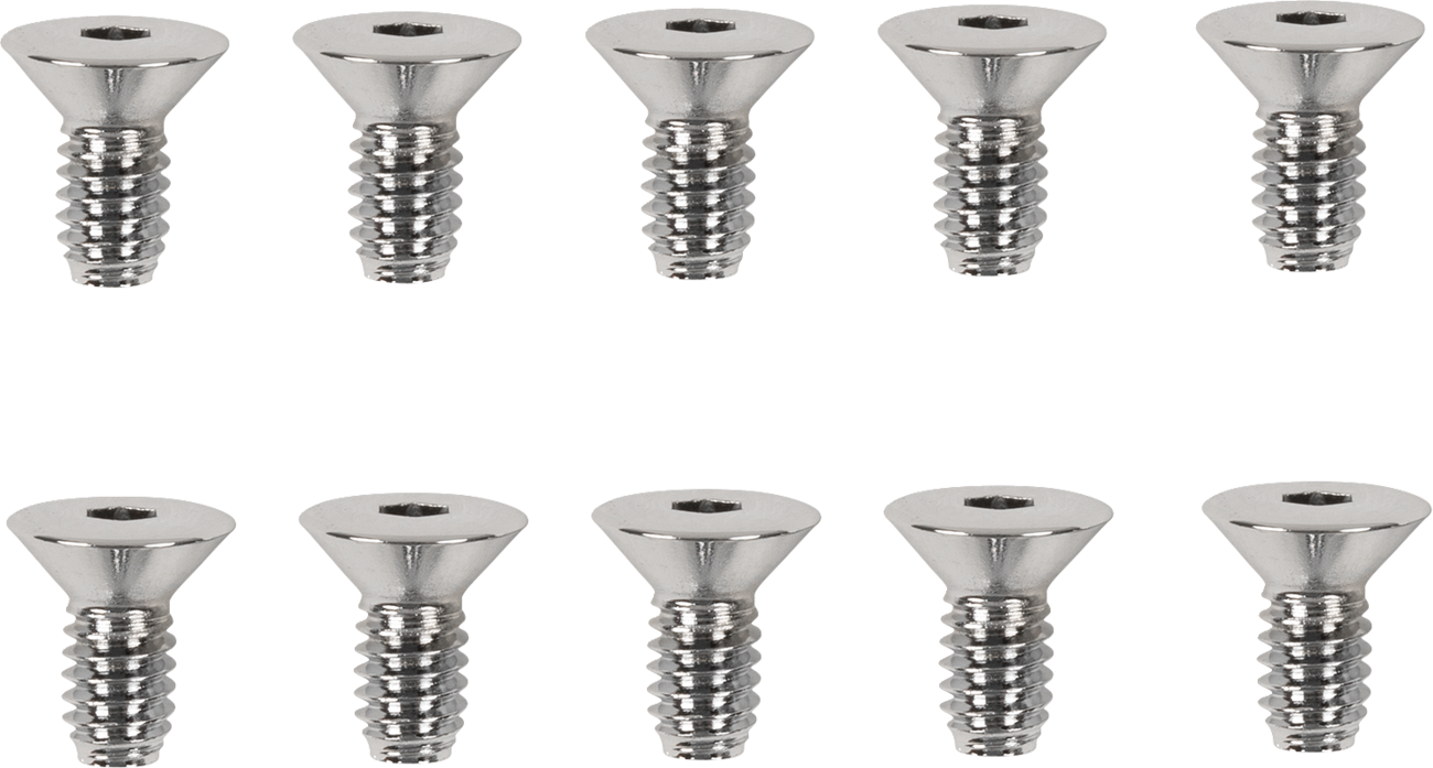 Drag Specialties Derby/Inspection Covers Only Screw Set