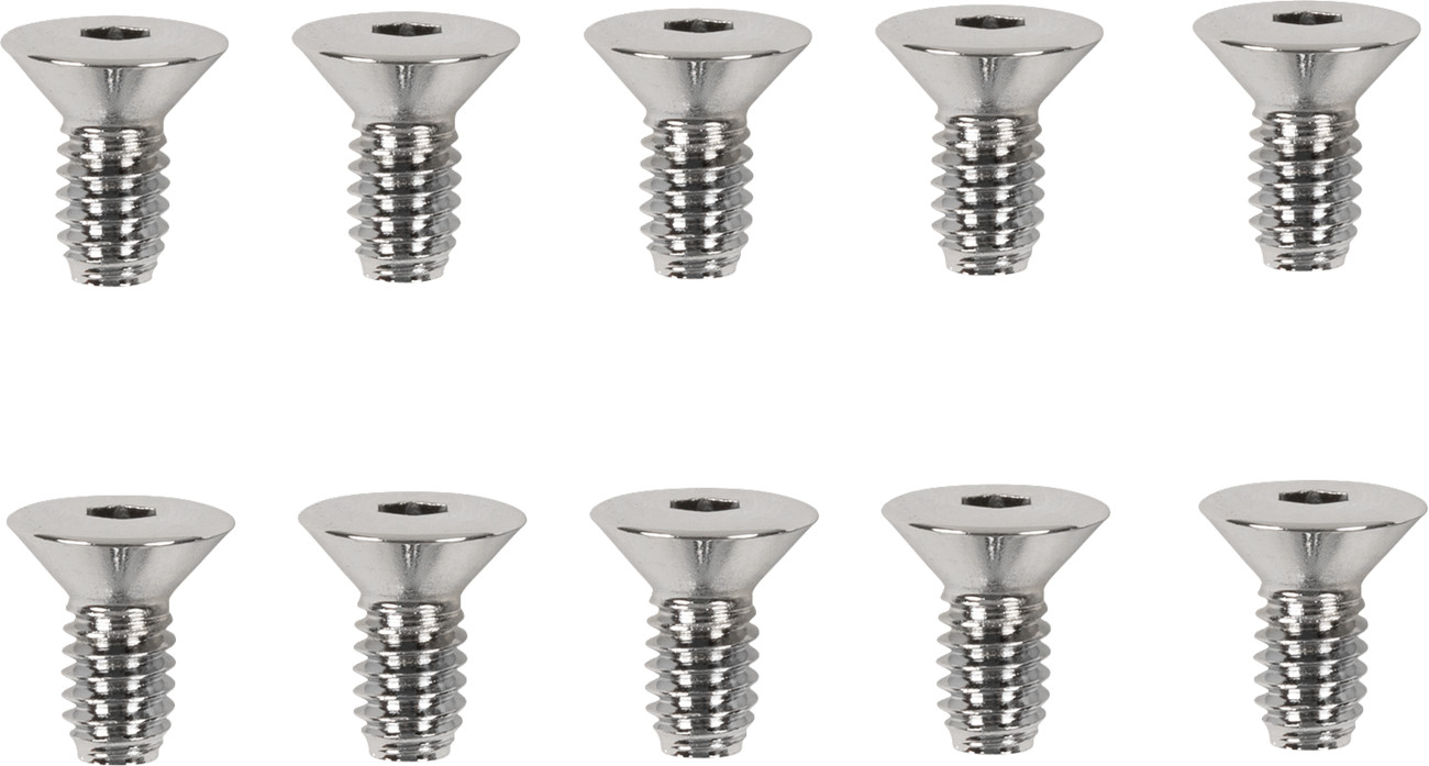 Drag Specialties Derby/Inspection Covers Only Screw Set