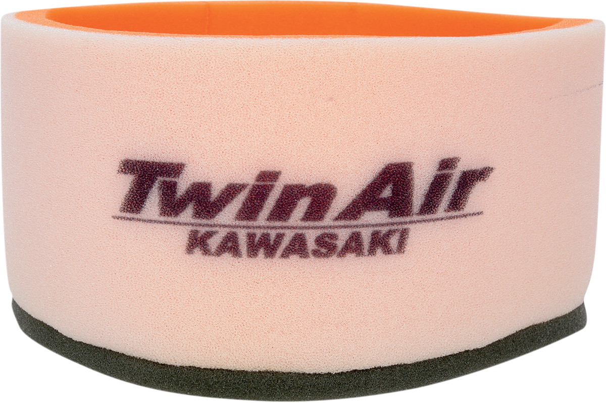 Twin Air Air Filter