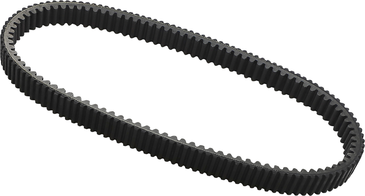 Dayco products,llc Drive Belt Polaris