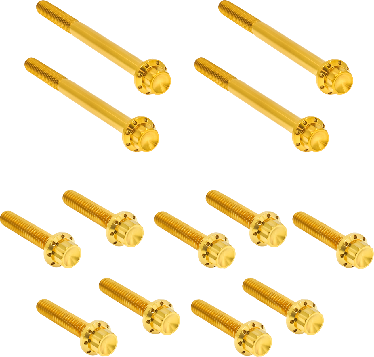 ARLEN NESS Outer Primary Cover Titanium 12-Point Bolt Kit