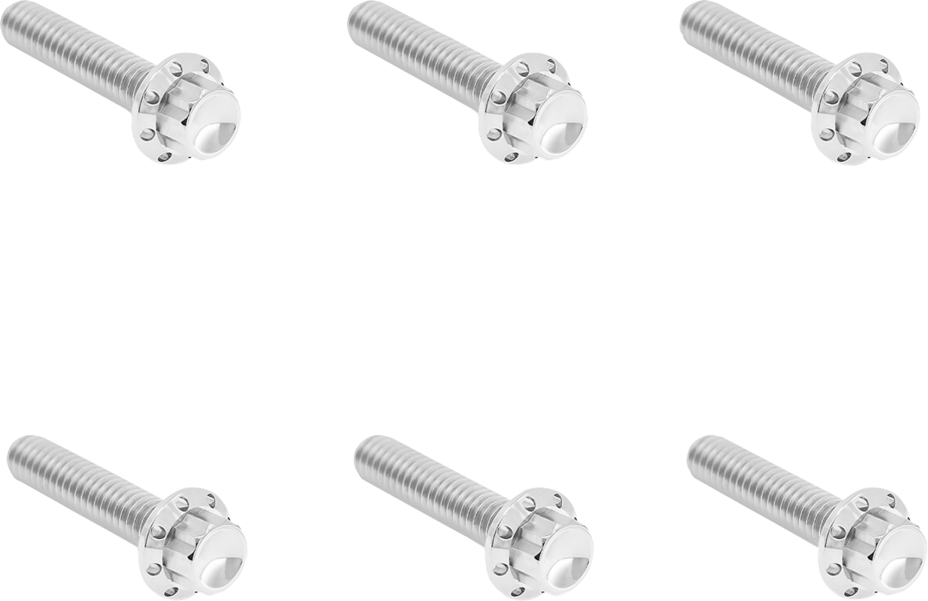 ARLEN NESS Transmission Side Cover Titanium 12-Point Bolt Kit