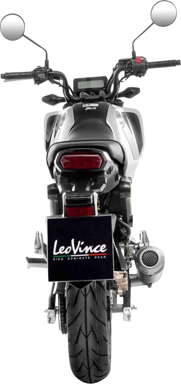 LEOVINCE LV-10 Exhaust System