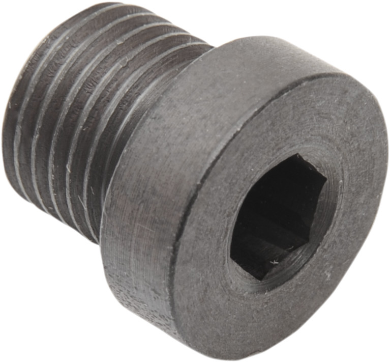 Daytona twin tec llc O2 Sensor Plug - 12 mm x 1.25 mm - Steel