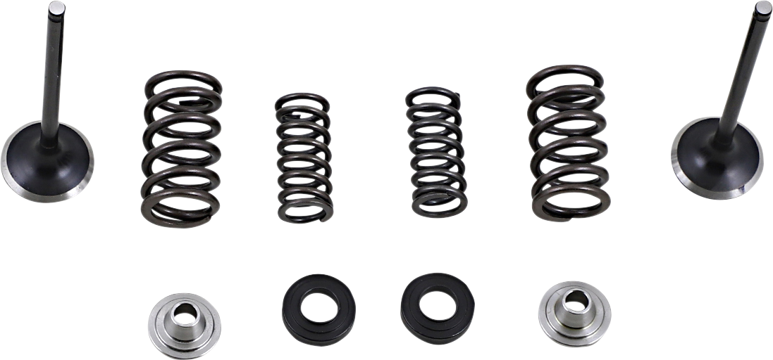 Moose Racing Exhaust Valve and Spring Kit