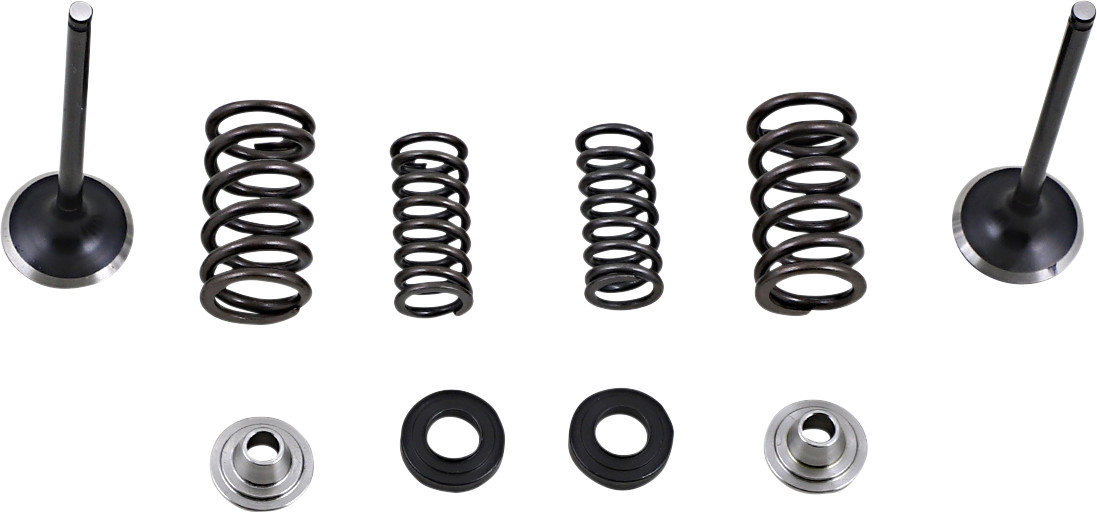 Moose Racing Exhaust Valve and Spring Kit