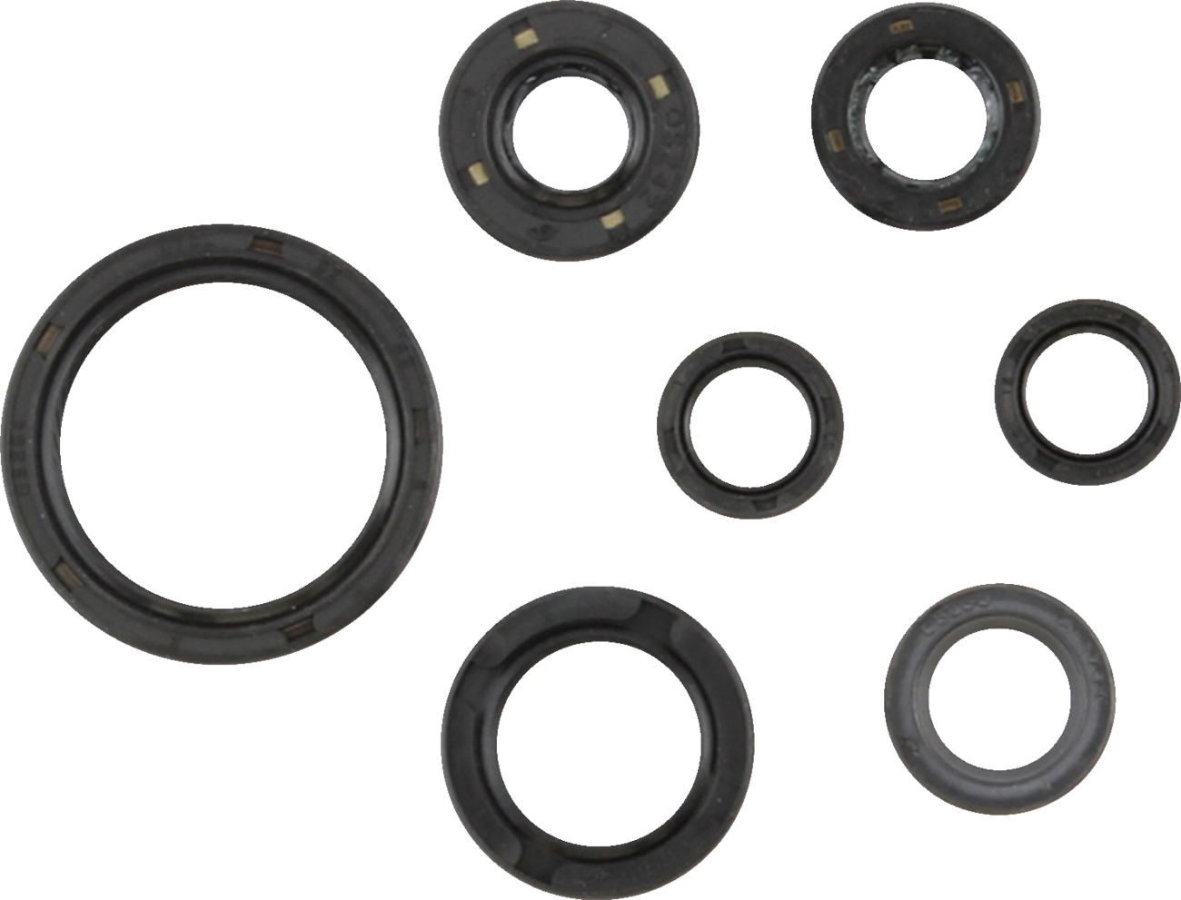 Oil Seal Kit