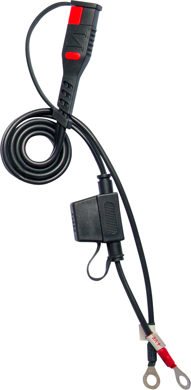BS BATTERY BS10 Smart Battery Charger & Maintainer