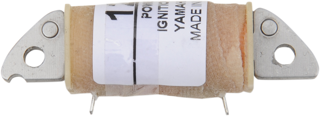 RICK'S MOTORSPORT ELECTRIC Charging Coil