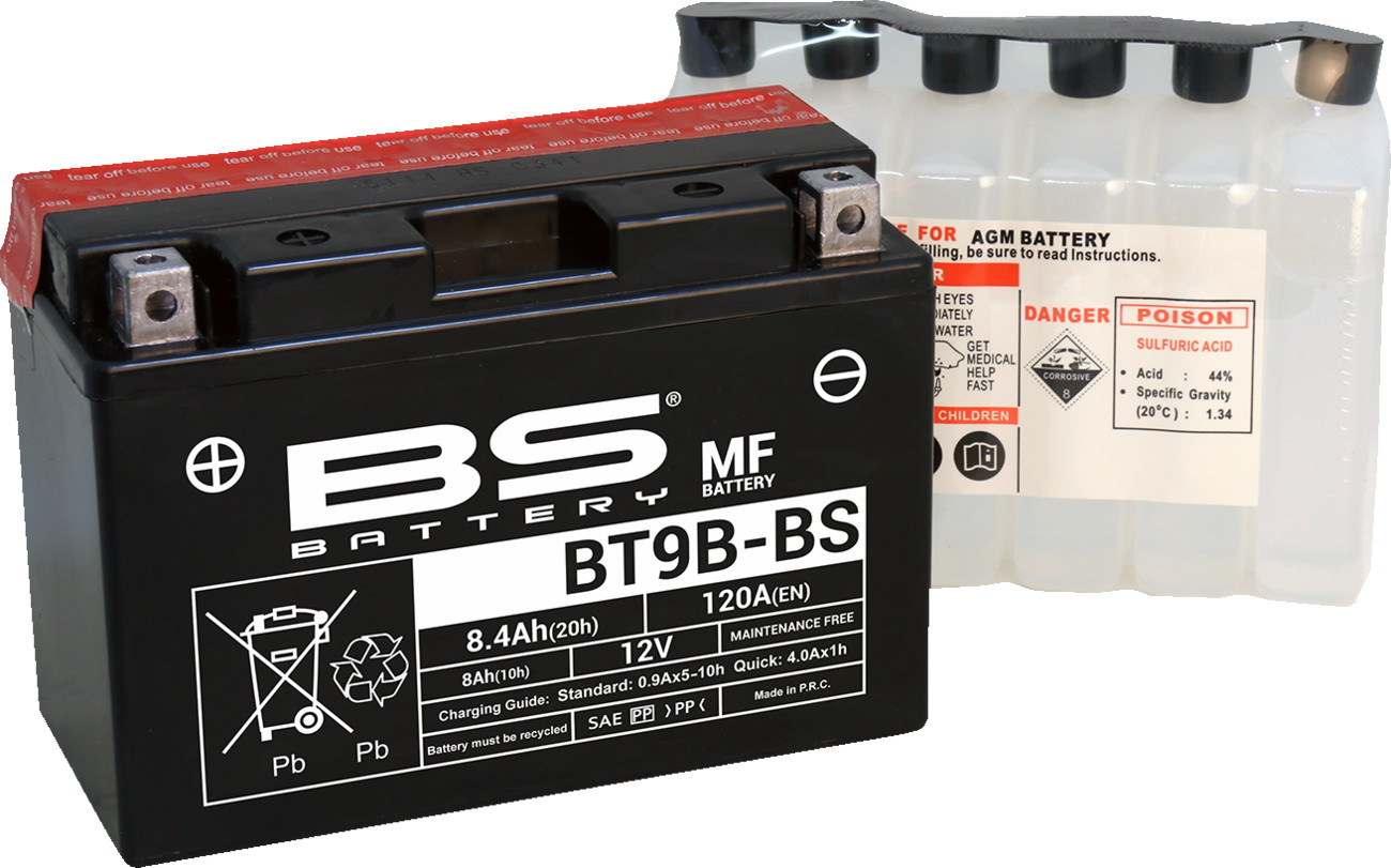 BS BATTERY Maintenance-Free Battery