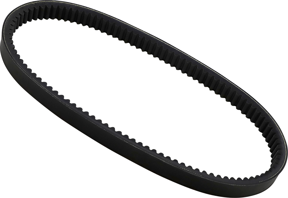 Dayco products,llc Drive Belt Cuyuna/Kawasaki/Polaris/John Deere/Ski-Doo/Moto-Ski/Sno-Jet/Suzuki