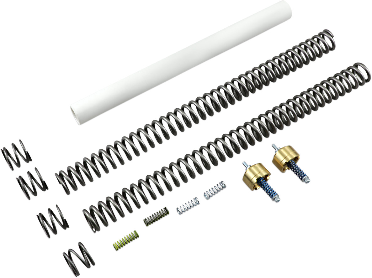 RACE TECH Fork Spring Kit