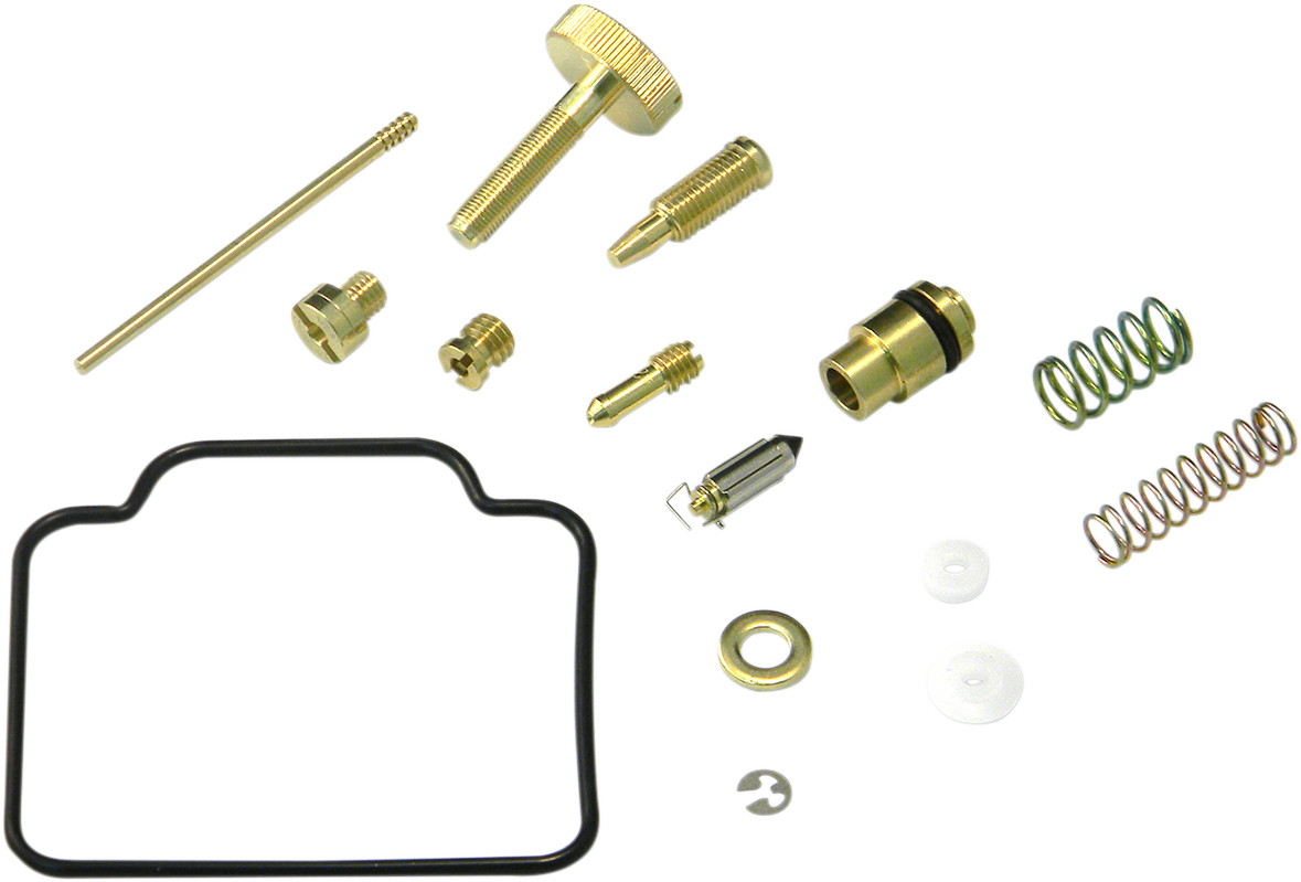Carburetor Repair Kit