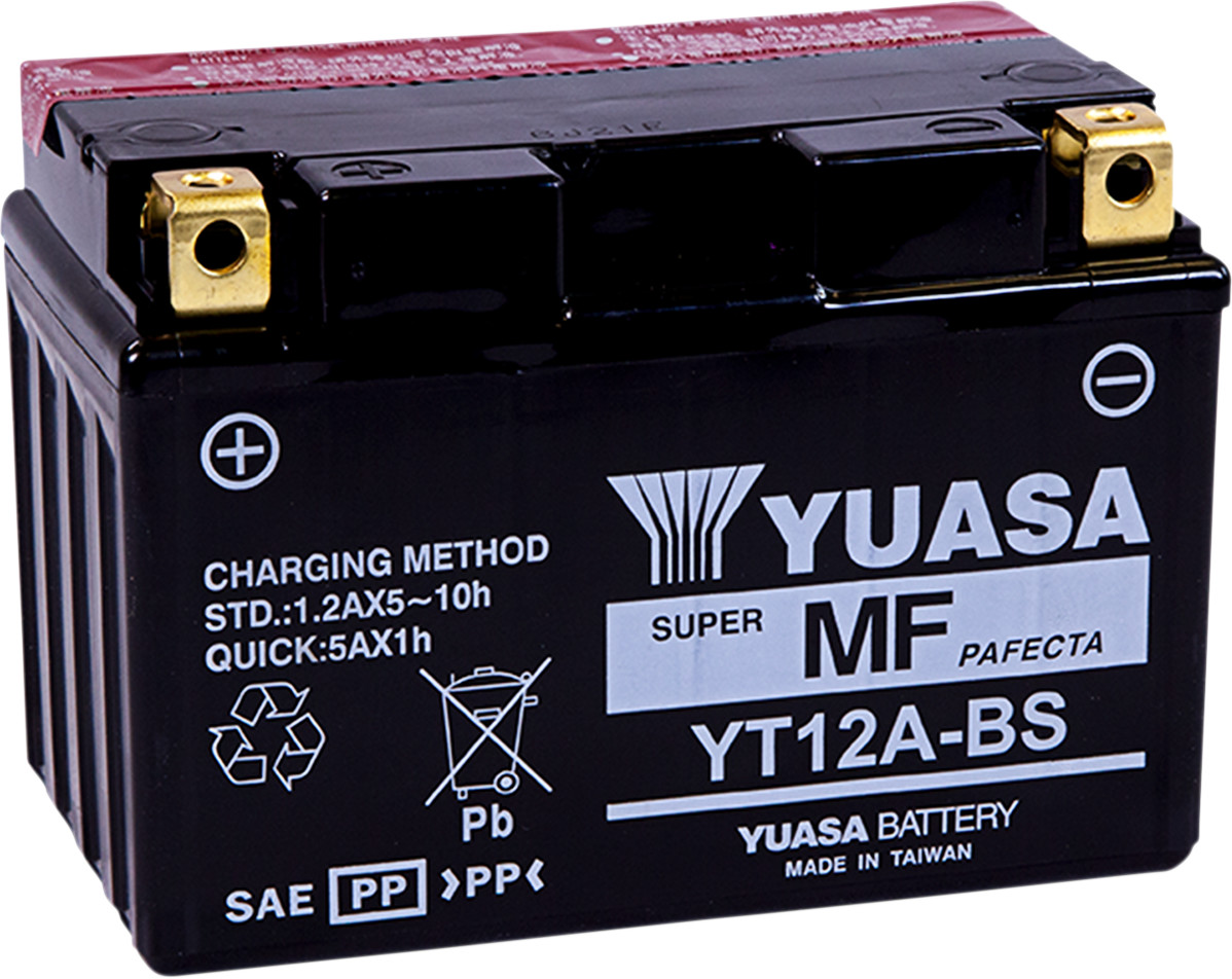 Yuasa Maintenance-Free Battery