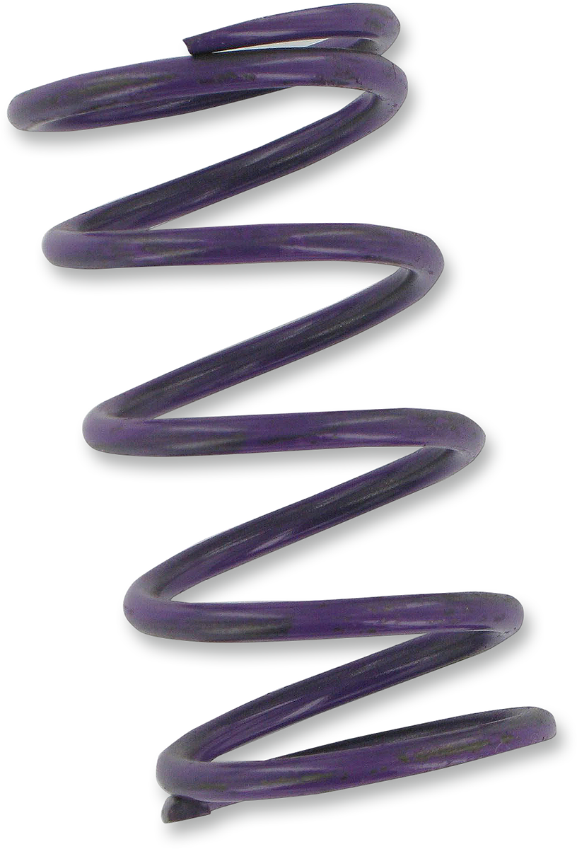 Clutch Spring
