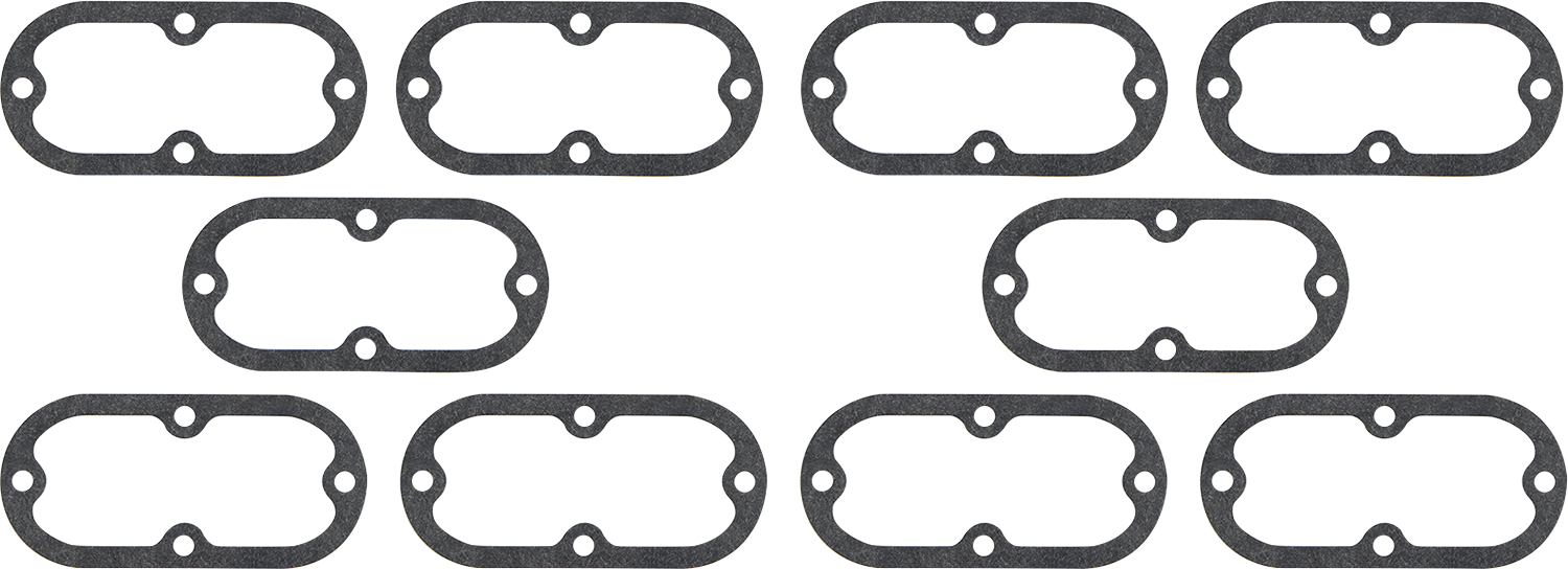 Derby/Inspection Cover Gasket Kit